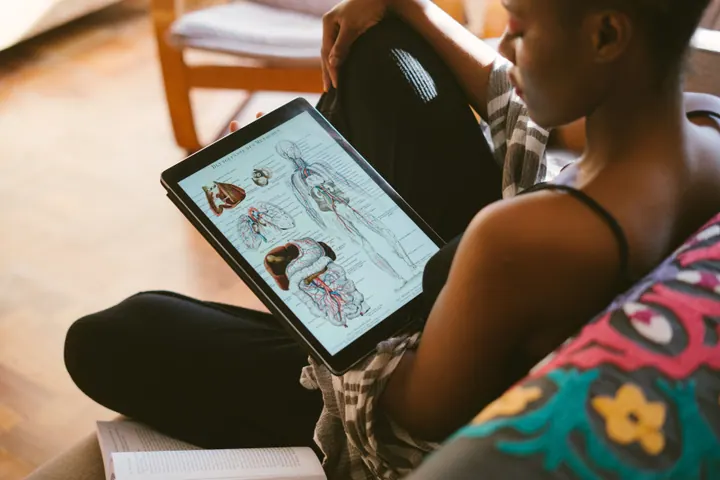 Pessoa estudando ilustrações de anatomia em um tablet